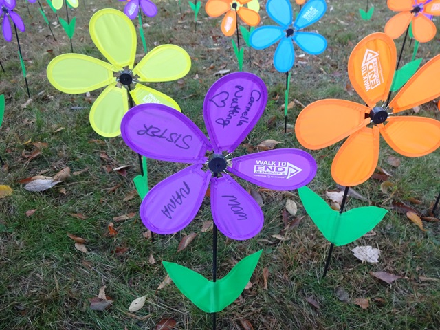 My Promise Garden flower 2024 Alzheimer's Walk