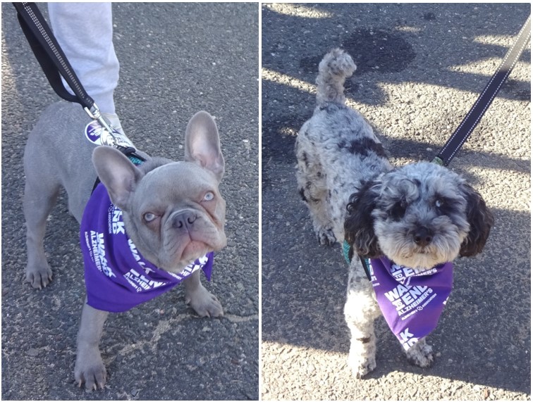 4-legged walkers 2024 Alzheimer's Walk