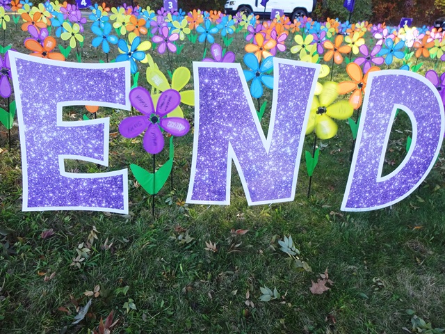 My Promise Garden flower 2025 Alzheimer's Walk